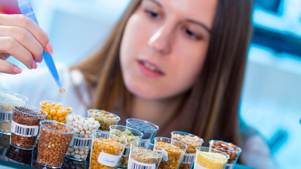 Desarrollo de nuevos productos alimenticios