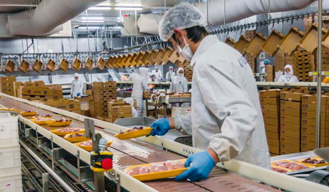 Optimización de procesos productivos
